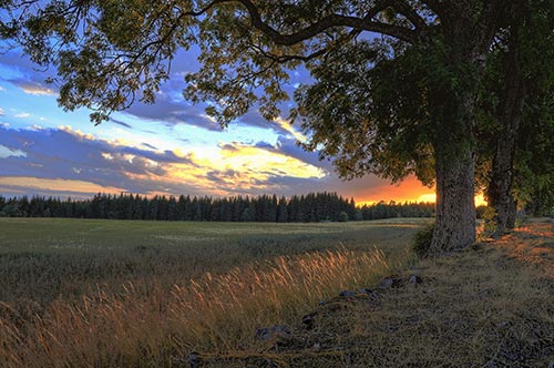 Can You Get a Mortgage on an Acreage in Langley or Fraser Valley if the Property Has a Well and Septic System?